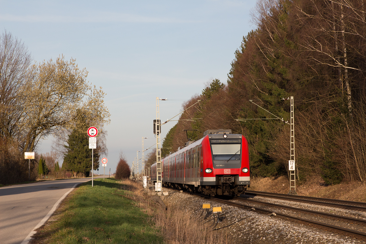 Im warmen Abendlicht des 20. März 2017 konnte 423 565-1 als S2 nach Petershausen am Rande Poings verewigt werden.