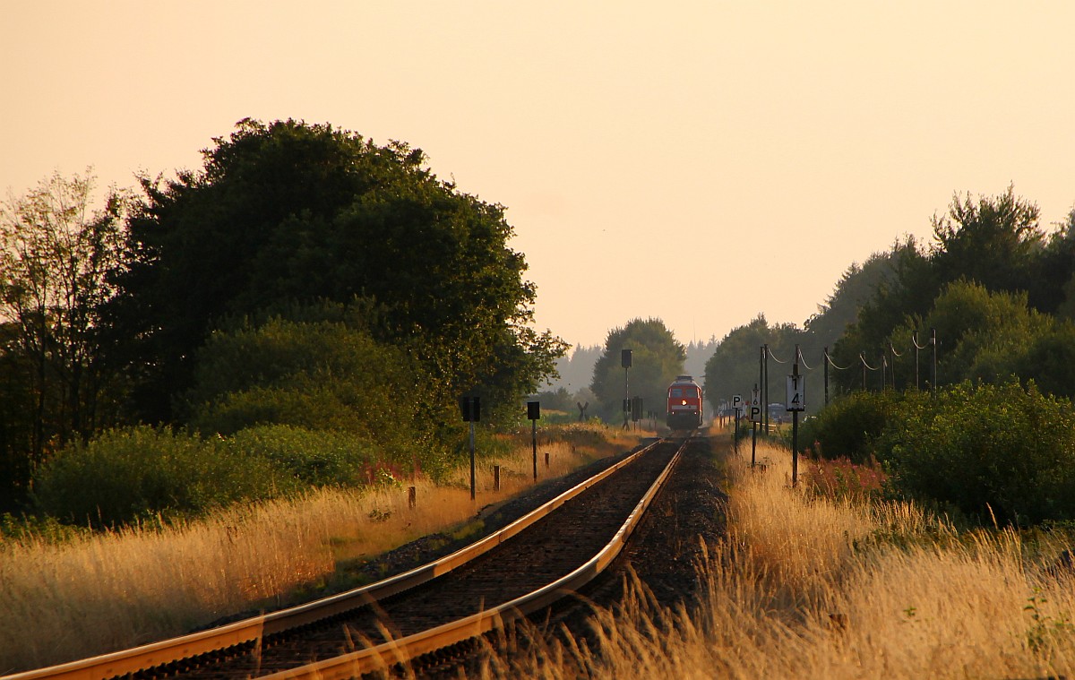 Impressionen beim warten auf den Marschbahnumleiter....29.07.2014