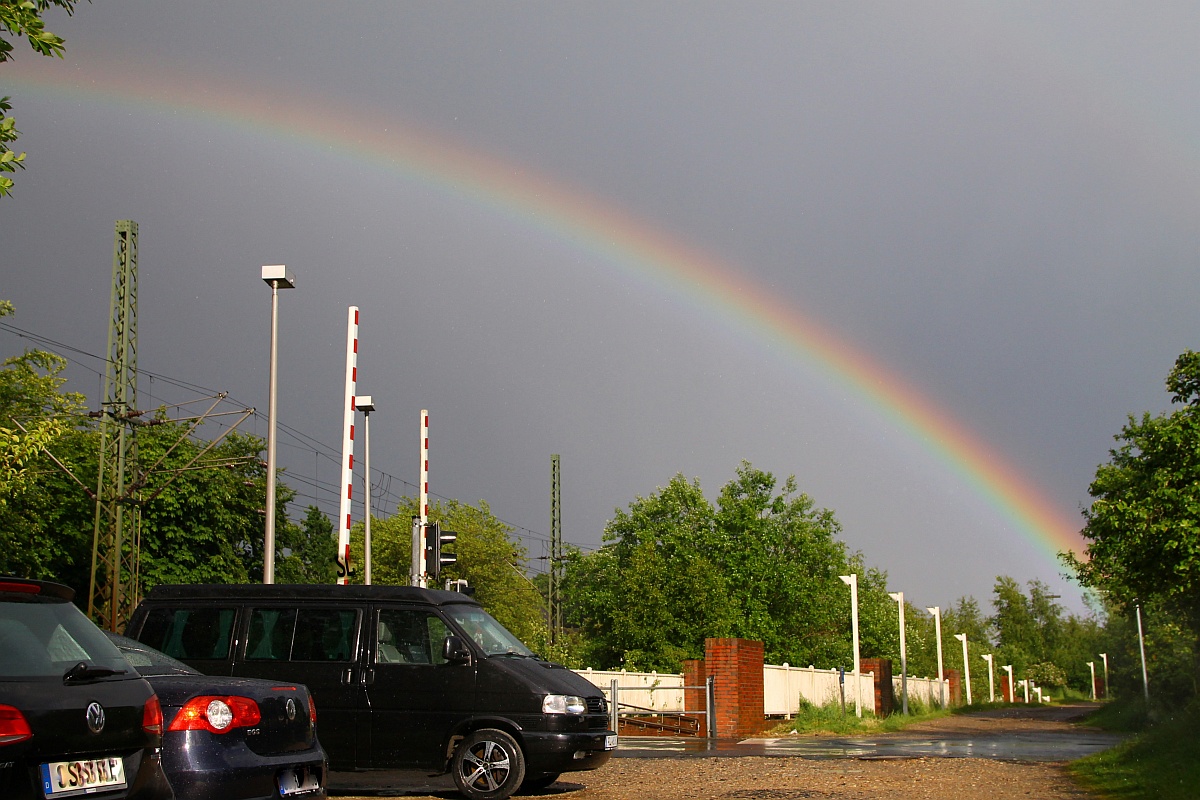 Impressionen nach einem Schauer am Bü Karpfenteich in Schleswig am 05.06.2014