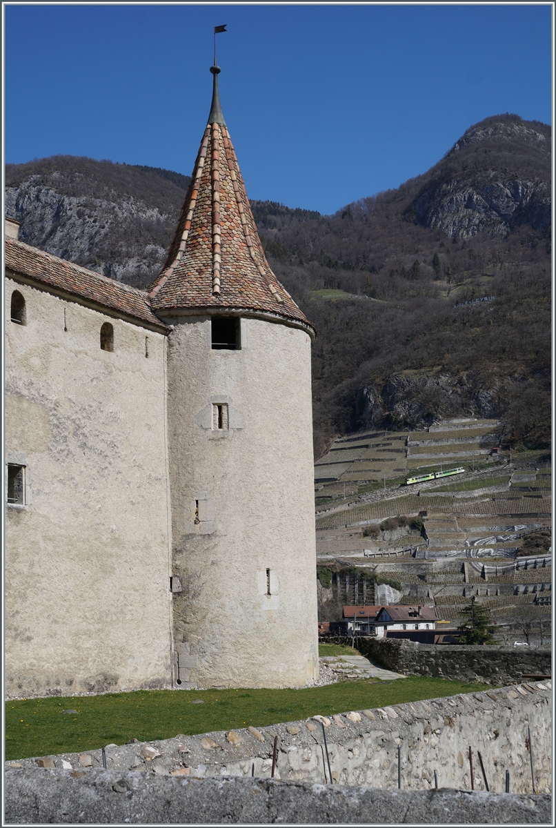 In der Ferne ist ein A-L Zug in den Weinbergen von Aigle unterwegs, im linken Bildteil unbersehbar, das Schloss von Aigle.

30. Mrz 2021