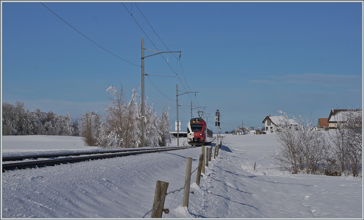 In der kurzen Zwischenzeit des nach Tagen abgezogenen Nebels und der bald aufziehenden Störung zeigte sich eine kleine Winterwunderwelt, in welcher der TPF RABe 527 195 nach Bulle  fast eine Nebenrolle spielt. 

Das Bild wurde zwischen Sâles und Vaulruz aufgenommen. 

23. Dezember 2021