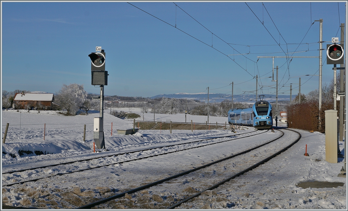  In weiten Kurven windet sich das Trasse der Strecken von Romont nach Vuisternens-devant- Romont, um die gut achzig Höhenmeter zu überwinden. Der im sehr gefälligen Werbeanstrich der  Groupe Grisoni  gehaltene TPF RABe 527 198 unterwegs als RE 3814 von Bern nach Bulle hat die Steigung fast geschafft und erreicht nun den Bahnhof Vuisternas-devant-Romont, welcher jedoch, wie alle Station zwischen Romont und Bulle, nur noch dienstlichen Zwecken dient.

23. Dezember 2021