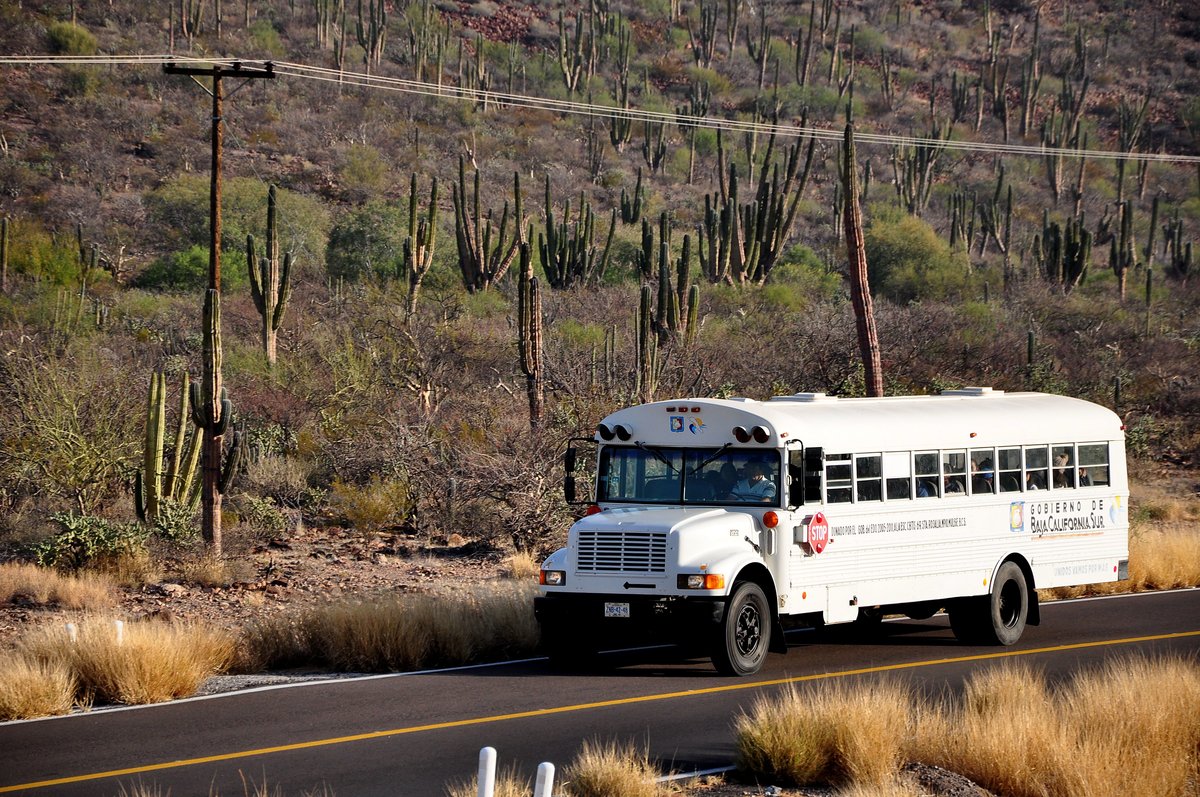 International Schlerbus in der Baja California Sur/Mexico gesehen.