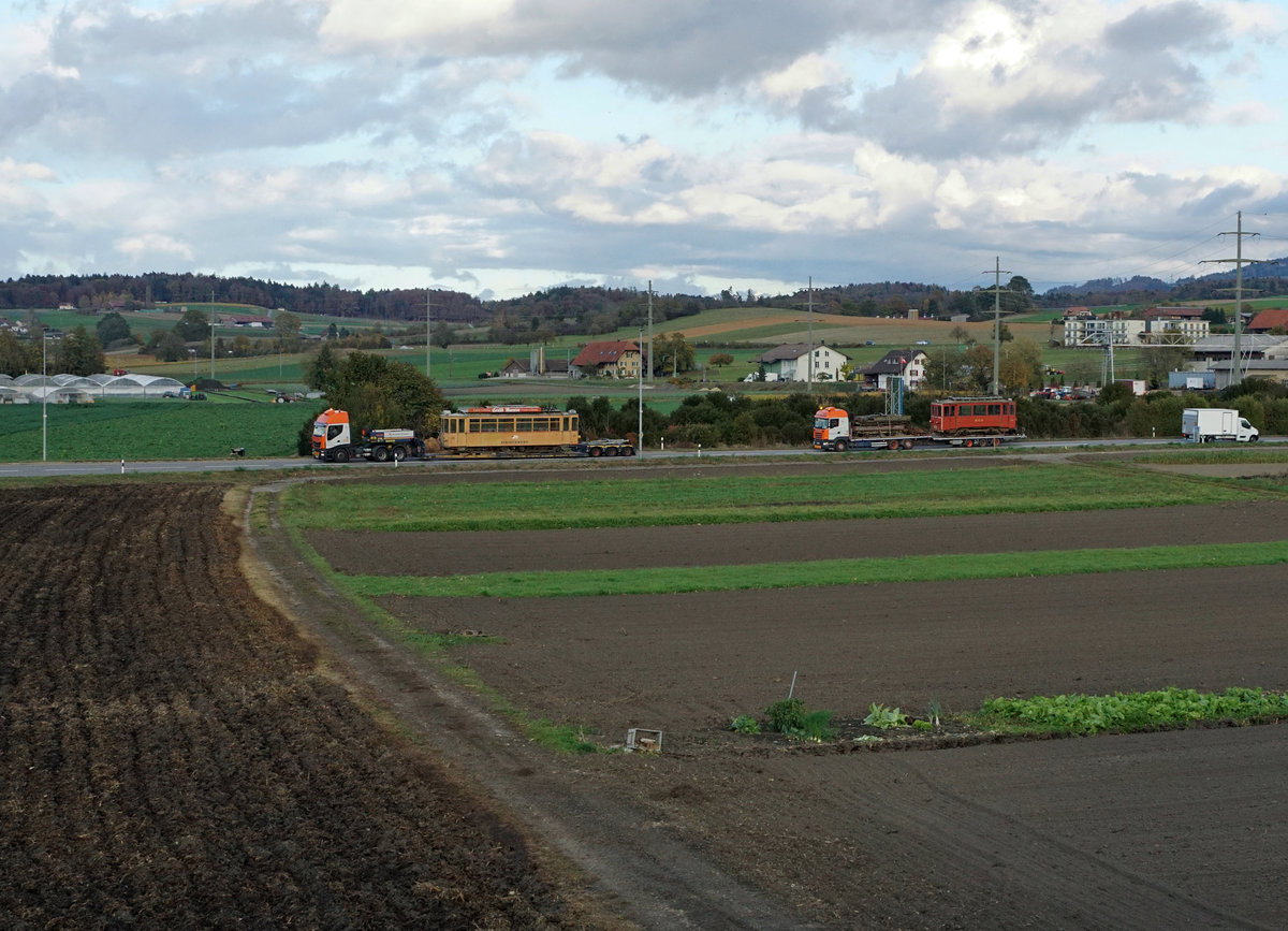 Jahresrückblick 2017
von Walter Ruetsch, Riedholz
SEPTEMBER
BMK: Bahnmuseum Kerzers.
Die ehemaligen Triebwagen Ce 2/4 13 und X 2/2 112 der Birseckbahn sowie zwei Güterwagen der Gelterkinden-Sissach Bahn haben am 27. Oktober 2017 nach einem Aufenthalt von vielen Jahren das Bahnmuseum Kerzers auf der Strasse in Richtung Tschechien verlassen.