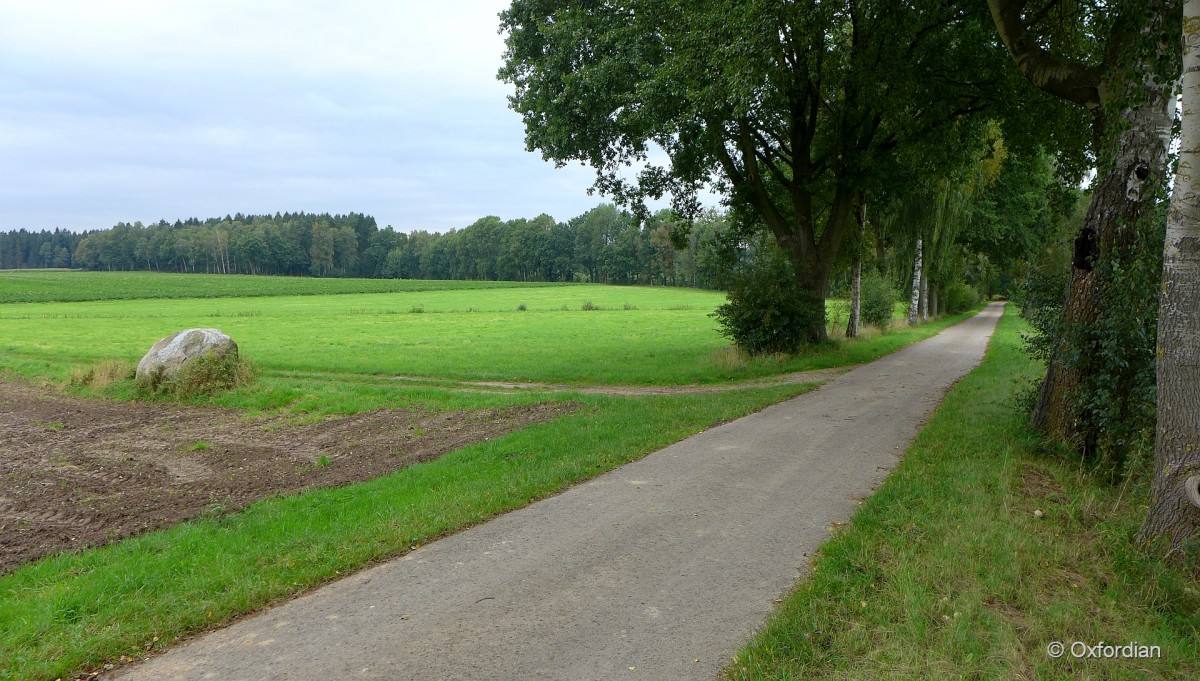 Jettebruch - Findling am Wirtschaftsweg.