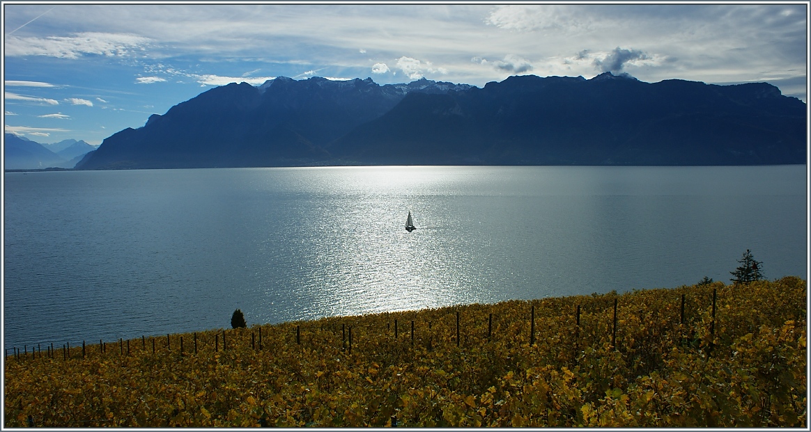 Kleines Schiff allein auf dem See...
(08.11.2013)