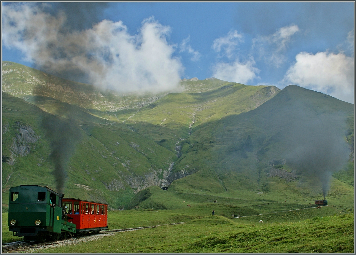 (Kohle)-Dampf am Brienzer Rohthorn.
30 August 2013