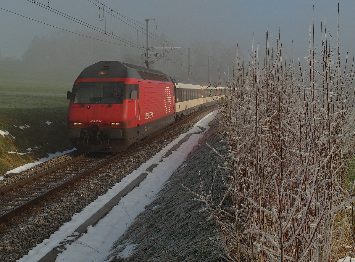 Kurz bevor 460 039-1 mit dem IR 2118, Konstanz - Biel, am 06.01.2015 in Berg/TG vorbeifuhr, begann sich zum Leidwesen des Fotografen der bis zu diesem Zeitpunkt nur über dem Thurtal hängende Nebel den Seerücken hinaufzuziehen.