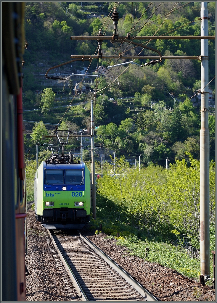 Kurz nach der Abfahrt von Domodossola begegnet unserm IR nach Brig diese von zwei BLS Re 482 gefhrte RoLa von Freiburg (i.B.) nach Novara.
15. April 2014