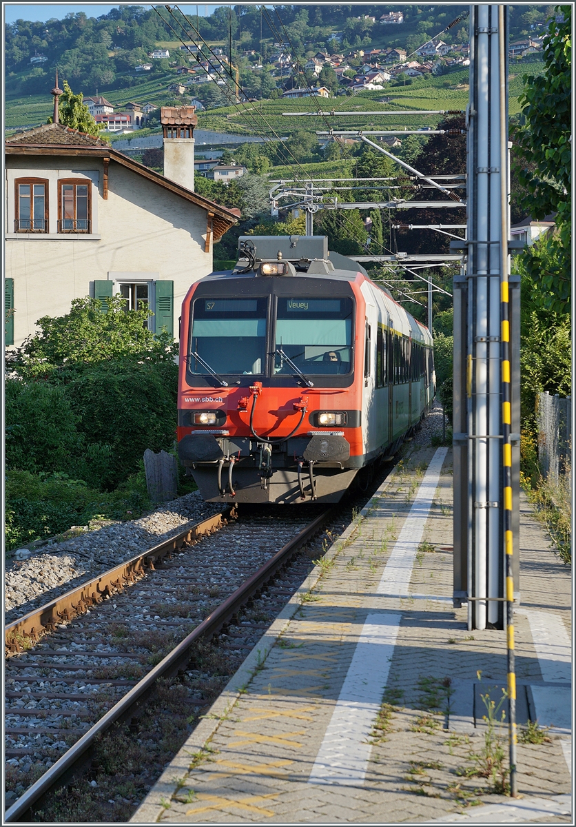 Kurz vor der Ankunft in Vevey erreicht der RBDe 560 Domino von der  Train des Vignes  Strecke kommend auf den kleinen Haltepunkt Vevey Funi. 

20. Juni 2021