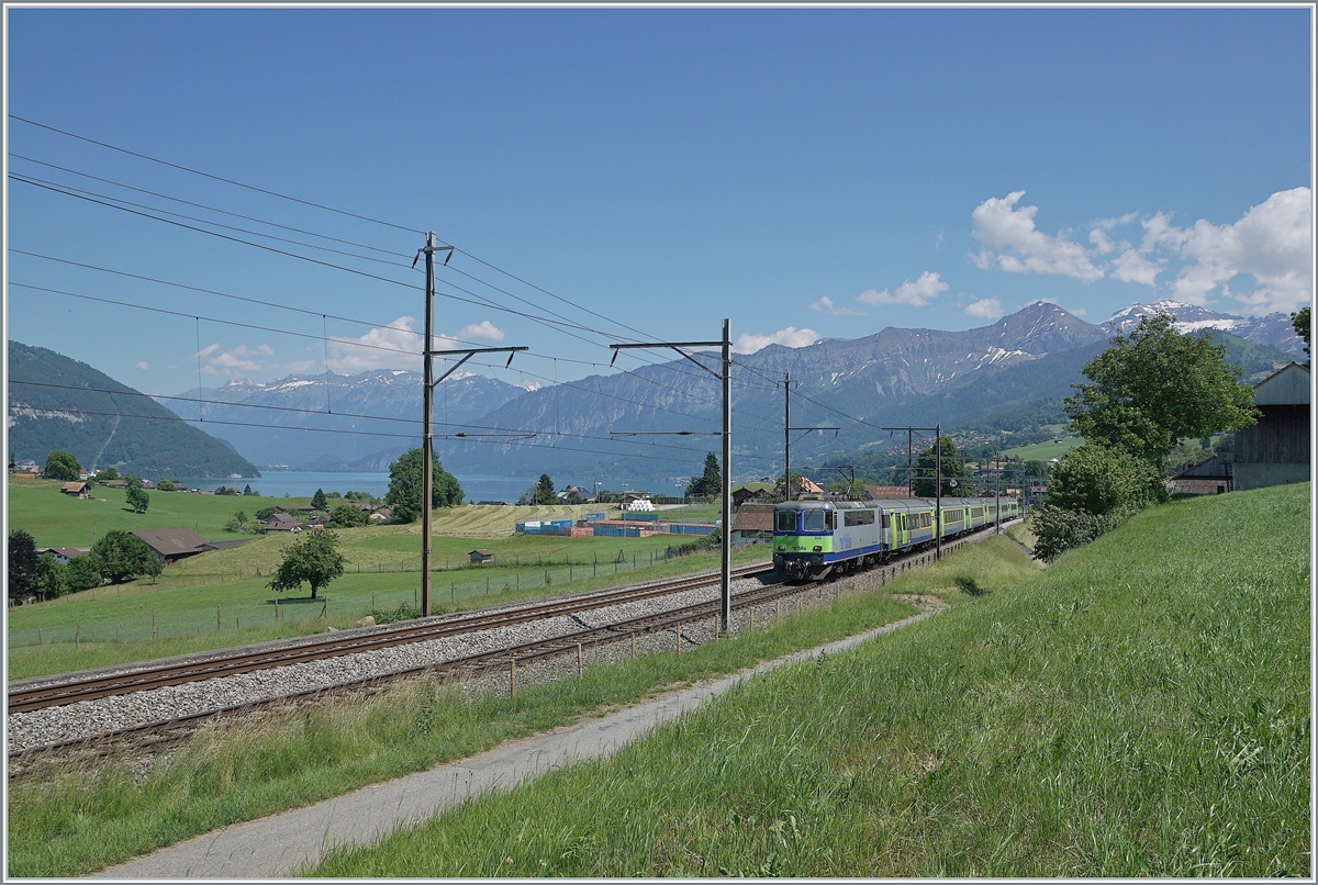 Kurz vor Spiez (mit viel Aussicht auf die Umgebung) ist die BLS Re 4/4 II 504 auf dem Weg von Interlaken Ost nach Zweisimmen. 

14. Juni 2021