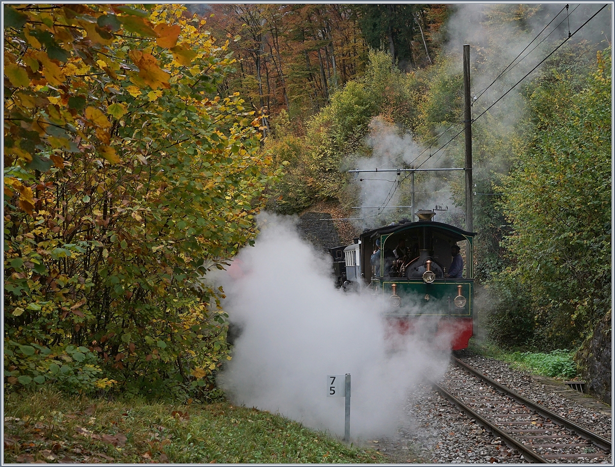 La Dernière du Blonay - Chamby - das 50. Jahre Jubiläum beschliesst die Blonay Chamby Bahn mit einer Abschlussvorstellung und dies mit viel Dampf - dieser verdeckt zwar etwas die G 2/2 aber vor allem verdeckt er fast vollständig das  rote Beiwerk  neben dem Strauch - auch eine Lösung.

Das Bild entstand unweit von  Vers-chez-Rober  am 28. Okt. 2018.
