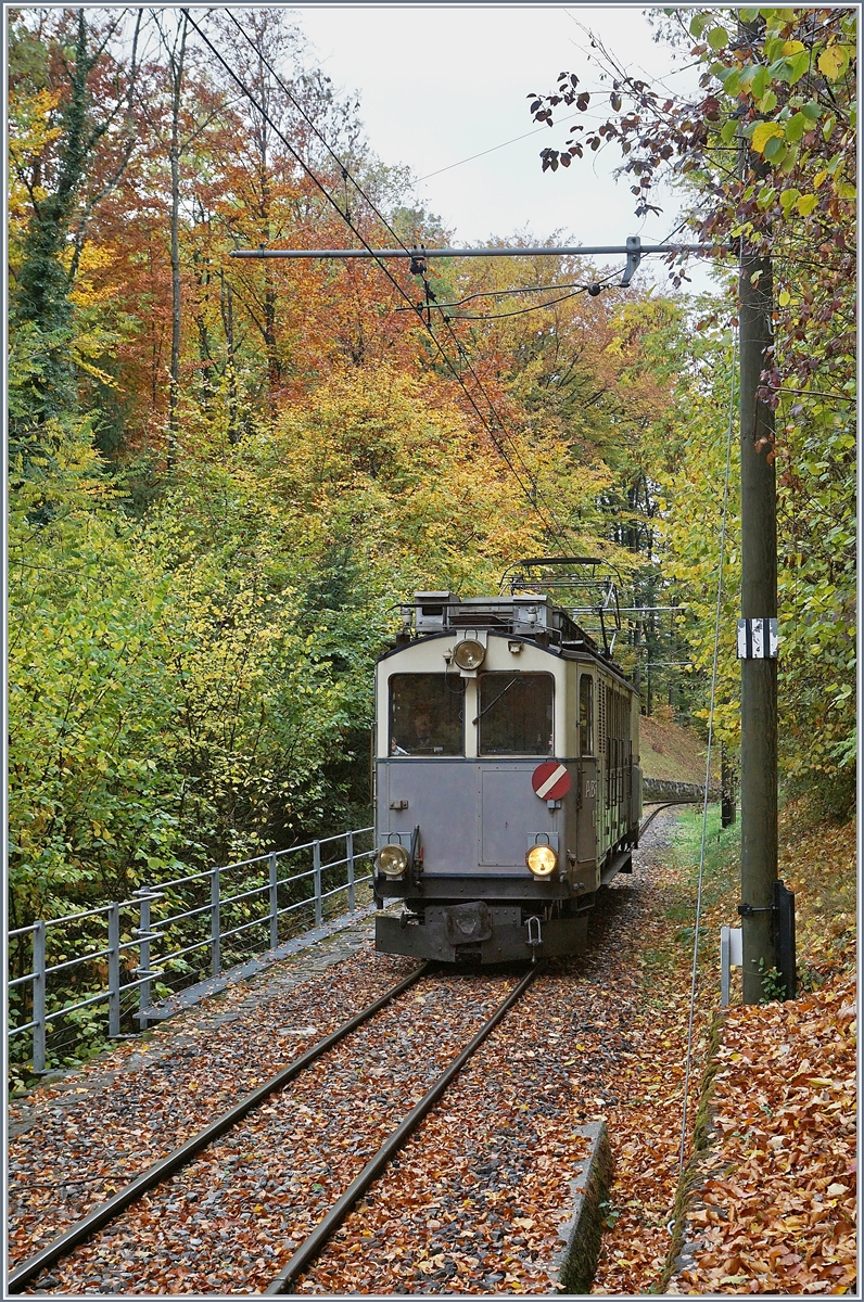 La Dernire du Blonay - Chamby - das 50. Jahre Jubilum beschliesst die Blonay Chamby Bahn mit einer Abschlussvorstellung: Der LLB ABFe 2/4 N 10 kurz nach dem Viadukt der Baie de Clarens auf der Fahrt nach Blonay.
28. Okt. 2018