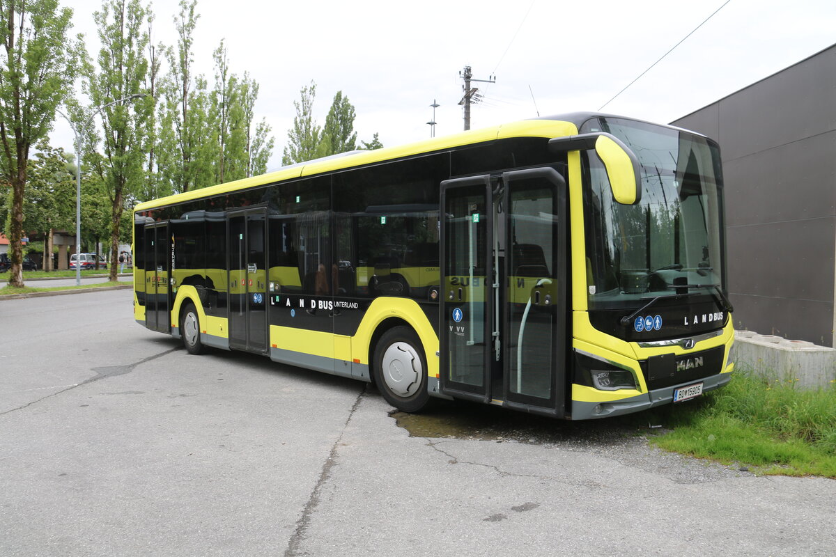 Landbus Unterland, Dornbirn - BD 15'905 - MAN am 15. Juni 2024 in Bregenz (Aufnahme: Martin Beyer)