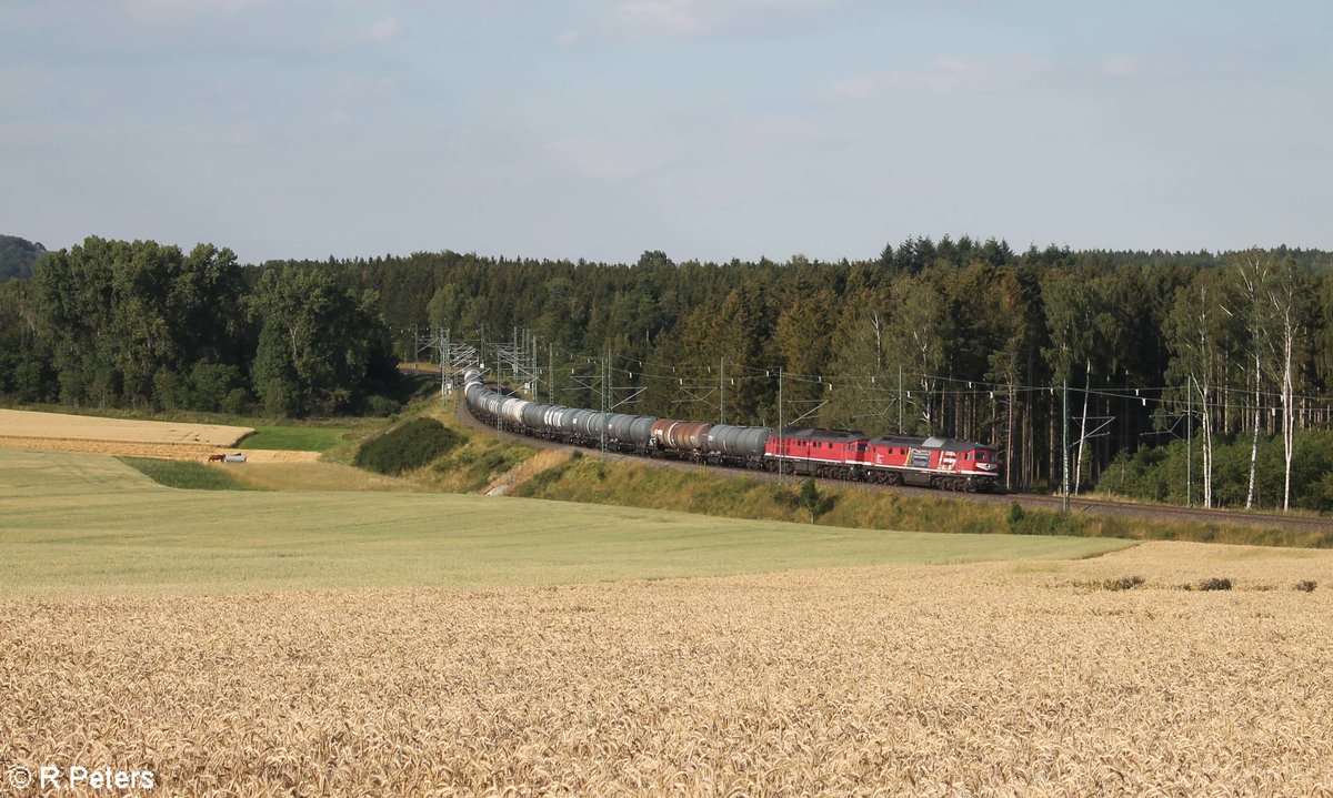 LEG 232 182 + 232 238 mit DGS 95451 Bitterfeld - Neustadt/Donau bei Unterhartmannsreuth kurz vor Feilitzsch und hat schon die Bayrische Landesgrenze erreicht. 23.07.20