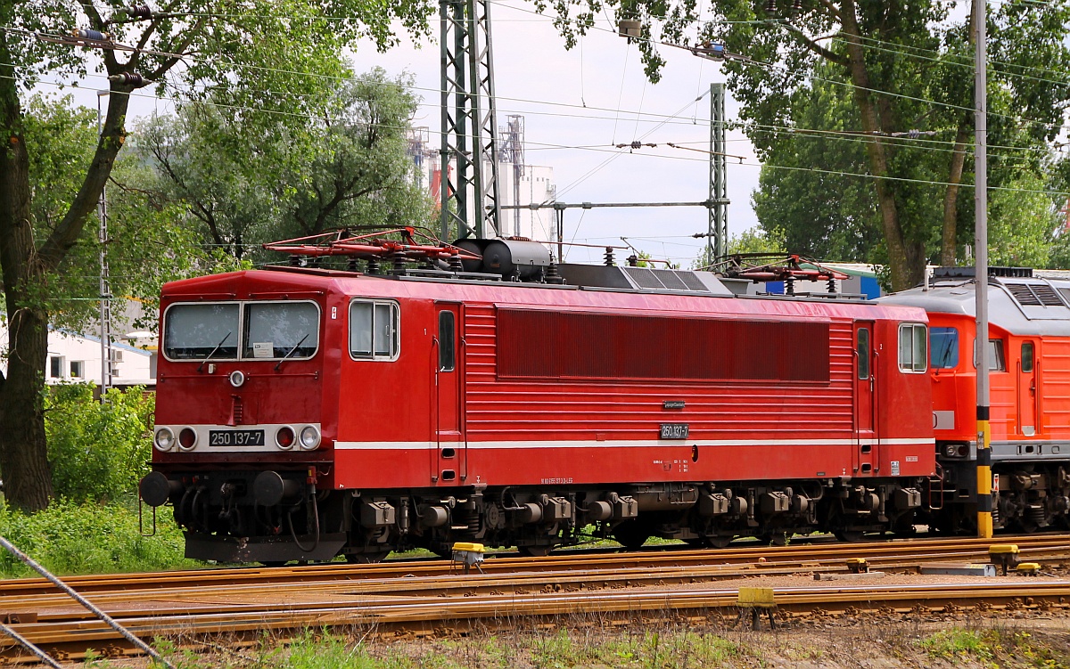 LEG 250 137-7/ 155 137-3(REV/BCS X/29.10.12) abgestellt in Hamburg Hohe Schaar. 29.05.2014