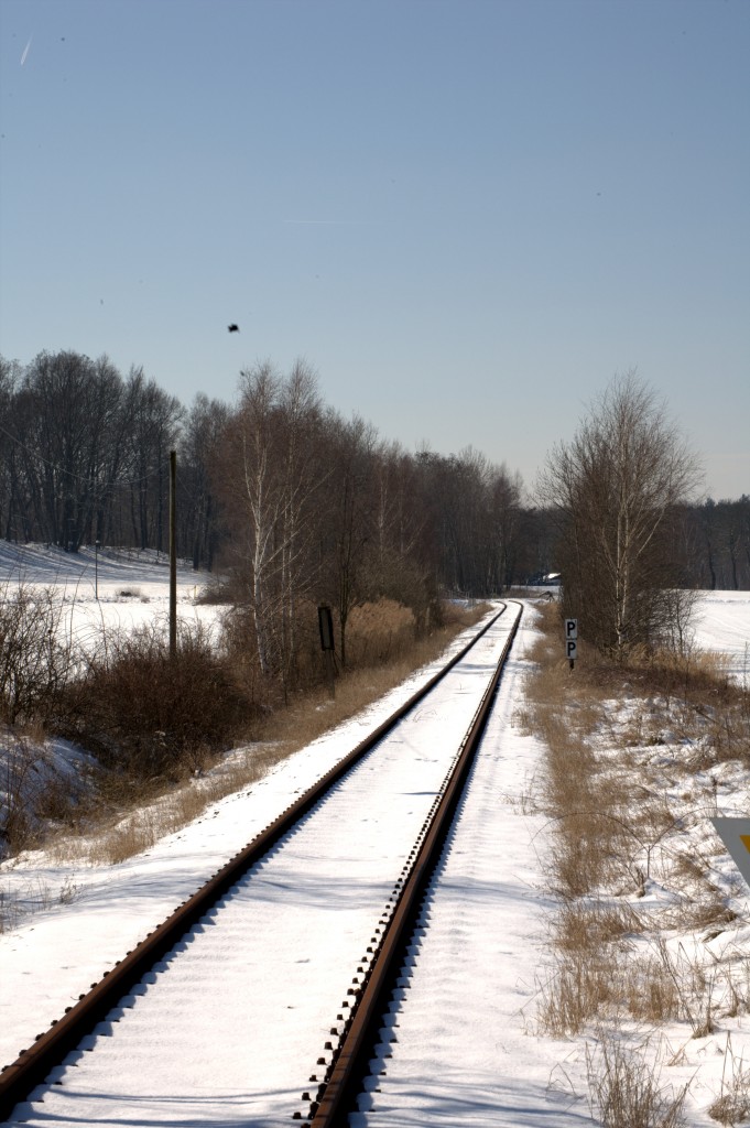 Leider stillgelegt, die Stecke Bad Schmiedeberg-Bad D�ben-Eilenburg. Hier Streckenabschnitt kurz vor Moschwig.16.03.2013 11:14 Uhr