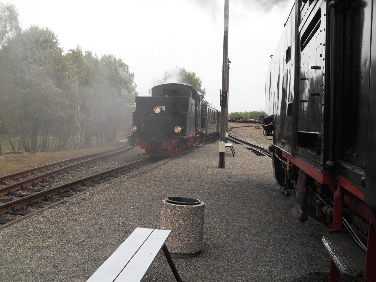 Lok 12 (99 787 der SOEG) wartet am 30.09.2016 in Hettstedt auf Abfahrt. Vorher muss aber ein weiterer Sonderzug mit Lok 20 abgewartet werden.