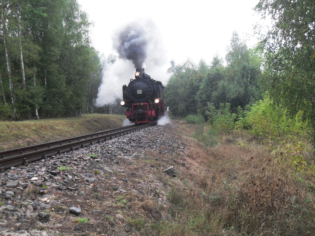 Lok 12 am 01.10.2016 mit ihrem Zug zwischen Hettstedt Eduardschacht und Hettstedt Kupferkammerh�tte.