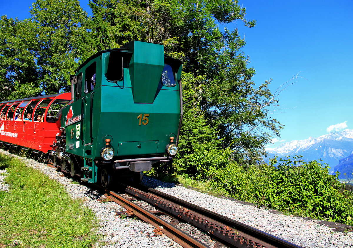 Lok 15 mit Blick auf die Schneeberge, oberhalb Geldried. 17.Juli 2016 