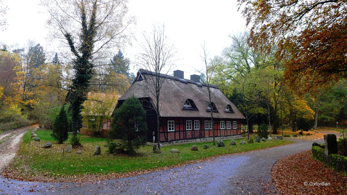 Lopau, Rethdachhaus auf einem verlassenen Gutshof in der Lüneburger Heide.