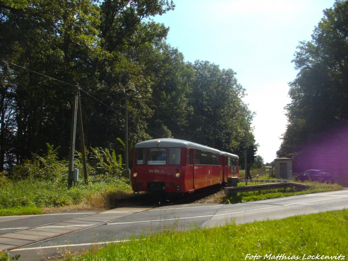 LVT 172 001 und 172 601 unterwegs nach Bergen auf Rgen am 23.8.14