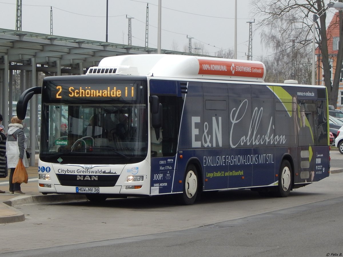 MAN Lion's City CNG der Stadtwerke Greifswald in Greifswald.