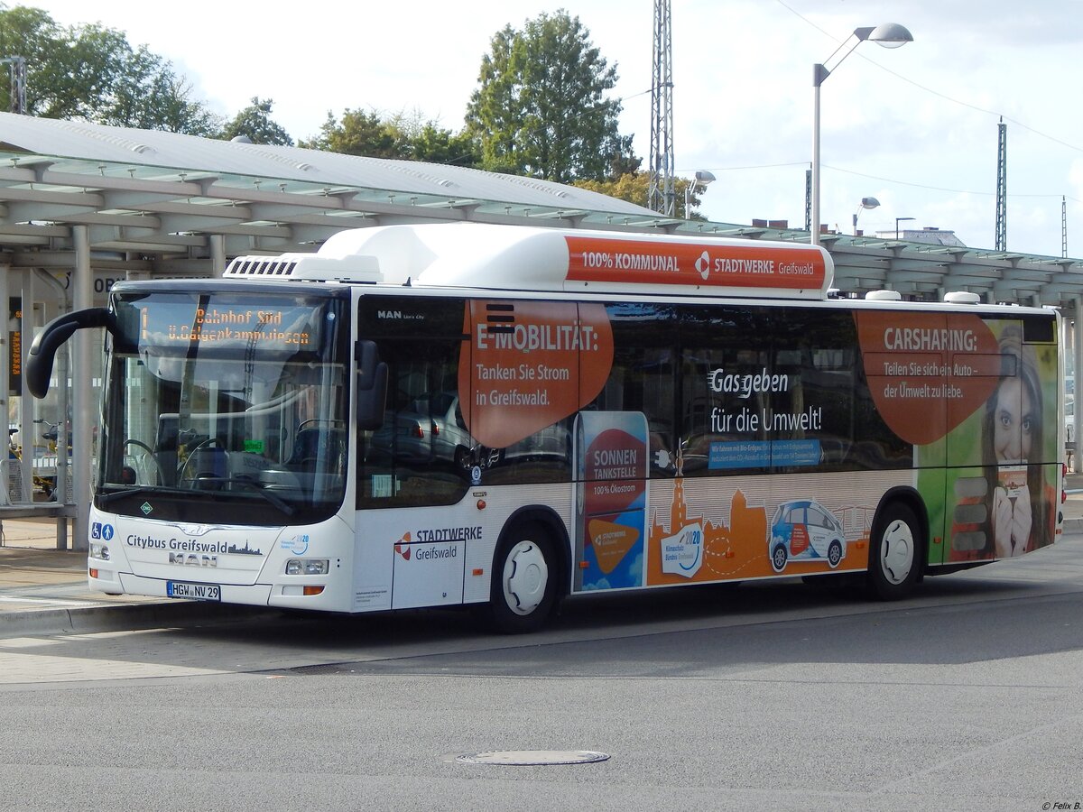 MAN Lion's City CNG der Stadtwerke Greifswald in Greifswald. 