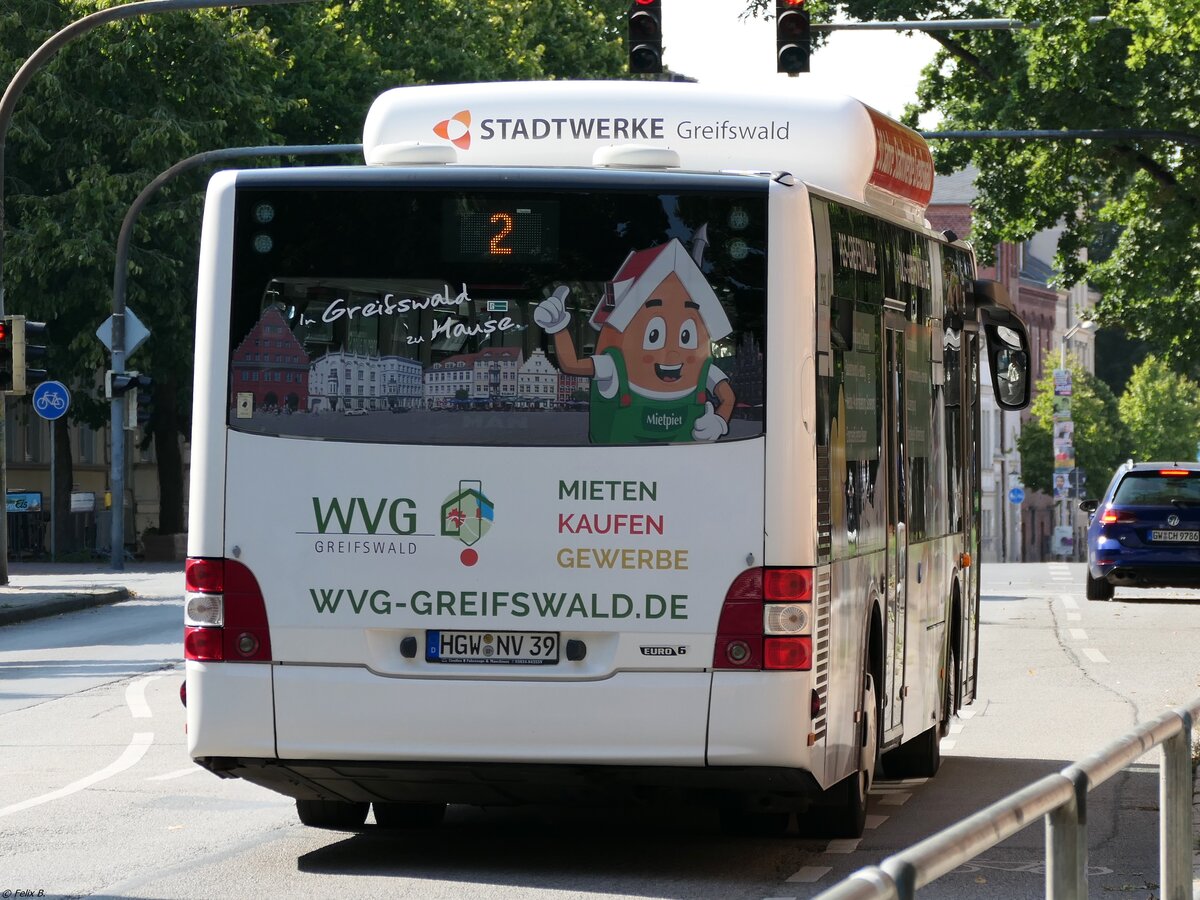 MAN Lion's City CNG der Stadtwerke Greifswald in Greifswald.