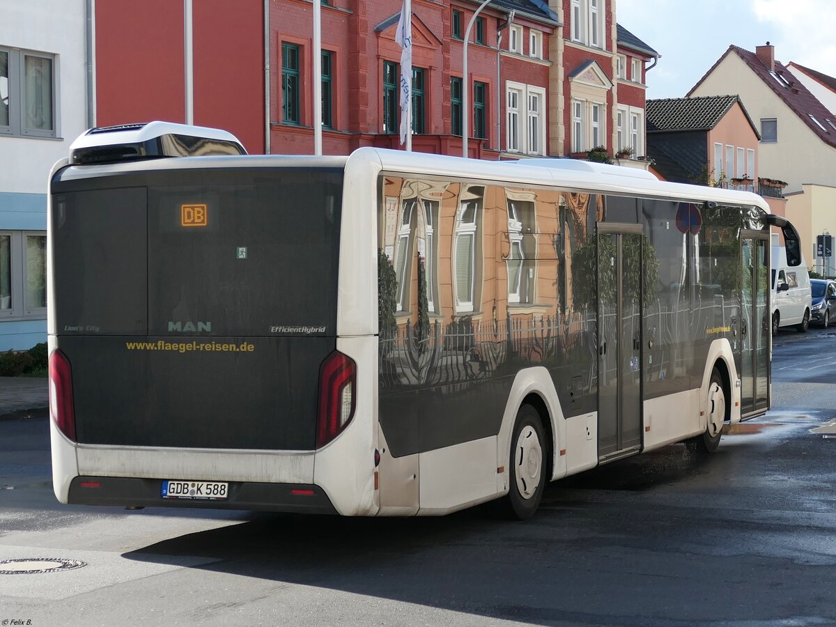 MAN Lion's City EfficientHybrid von Flaegel Reisen aus Deutschland in Neubrandenburg.