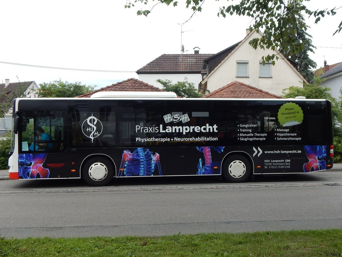 MAN Lion's City von Omnibusverkehr Kirchheim in Neuenhaus.