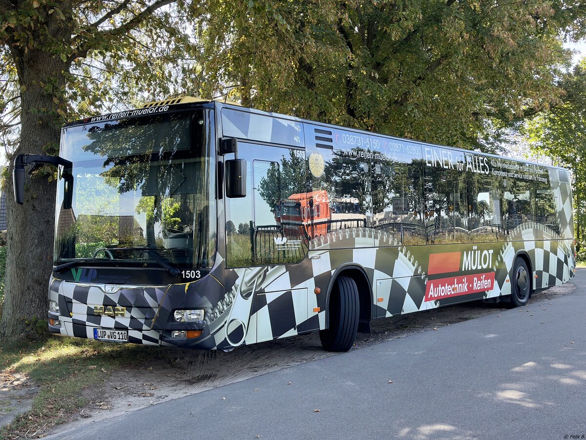 MAN Lion's City der Verkehrsgesellschaft Ludwigslust-Parchim mbH in Quetzin.