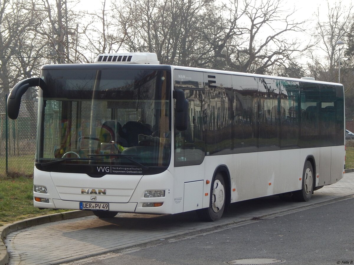 MAN Lion's City der VVG in Greifswald.