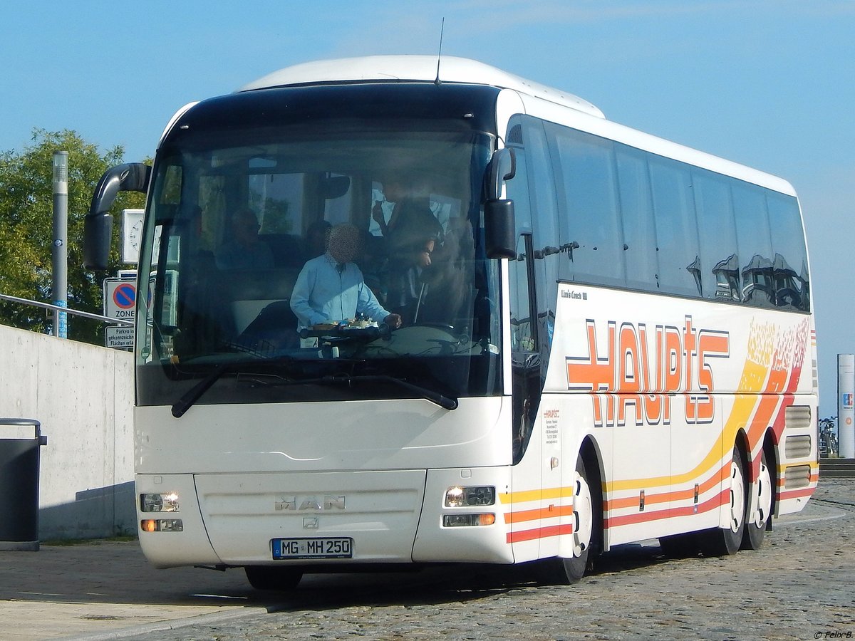 MAN Lion's Coach von Haupts aus Deutschland im Stadthafen Sassnitz.