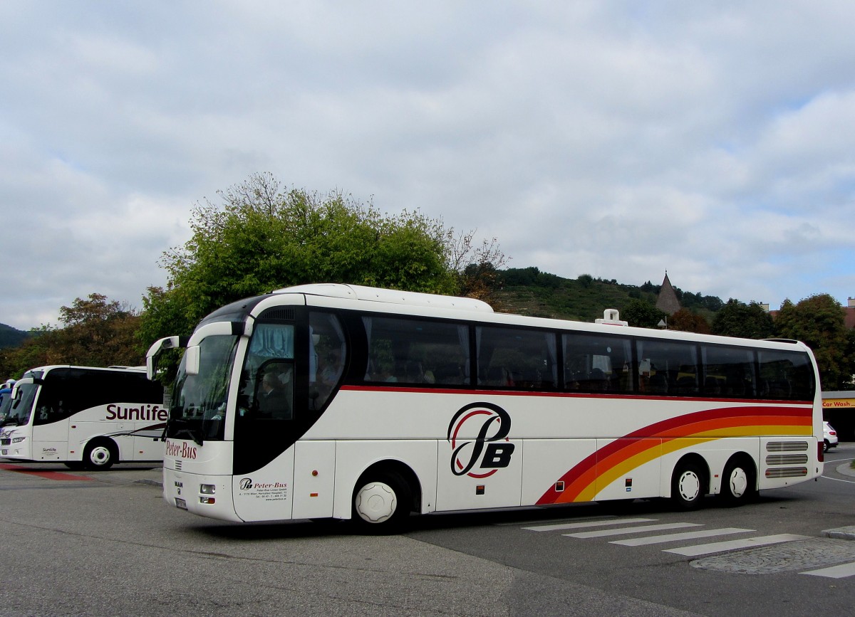 MAN Lions Coach von PETER BUS aus Wien im September 2013 in Krems gesehen.