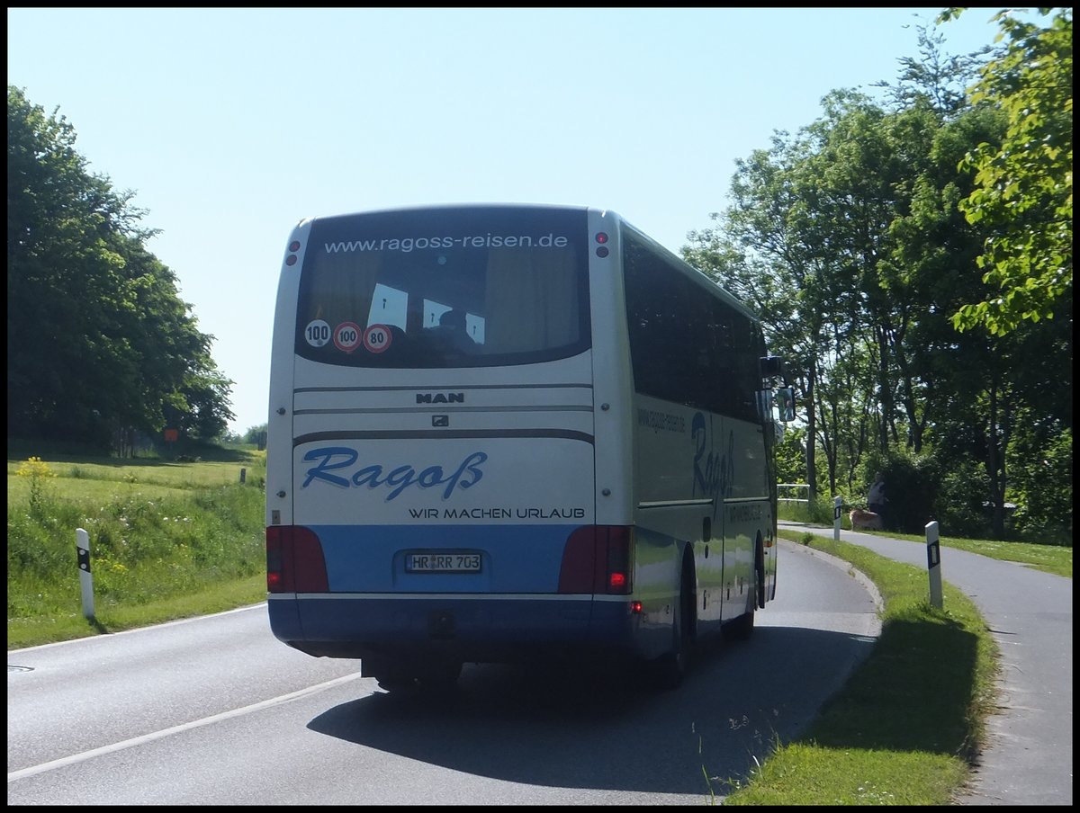 MAN Lion's Coach von Rago-Reisen aus Deutschland in Sassnitz.