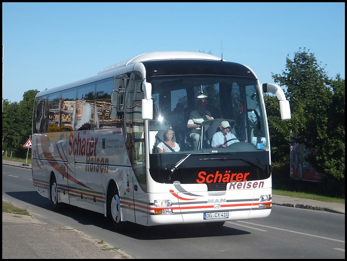 MAN Lion's Coach von Schrer Reisen aus Deutschland in Sassnitz.