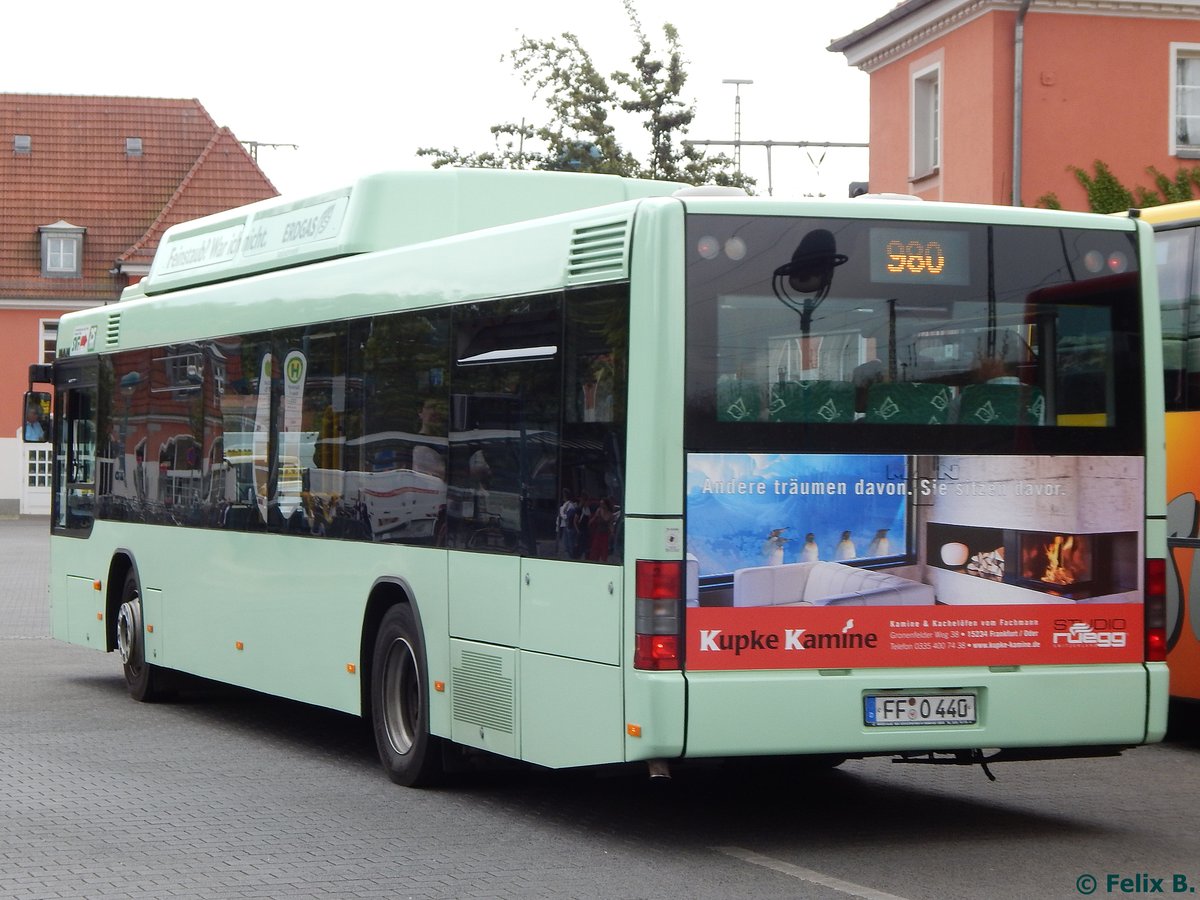 MAN Niederflurbus 2. Generation CNG der Stadtverkehrsgesellschaft mbH Frankfurt Oder in Frankfurt.