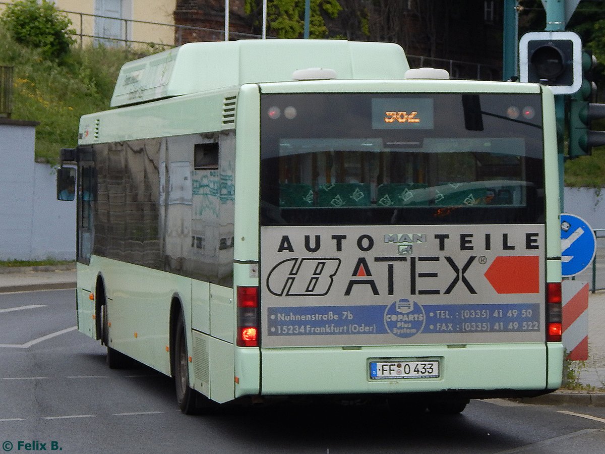 MAN Niederflurbus 2. Generation CNG der Stadtverkehrsgesellschaft mbH Frankfurt Oder in Frankfurt.