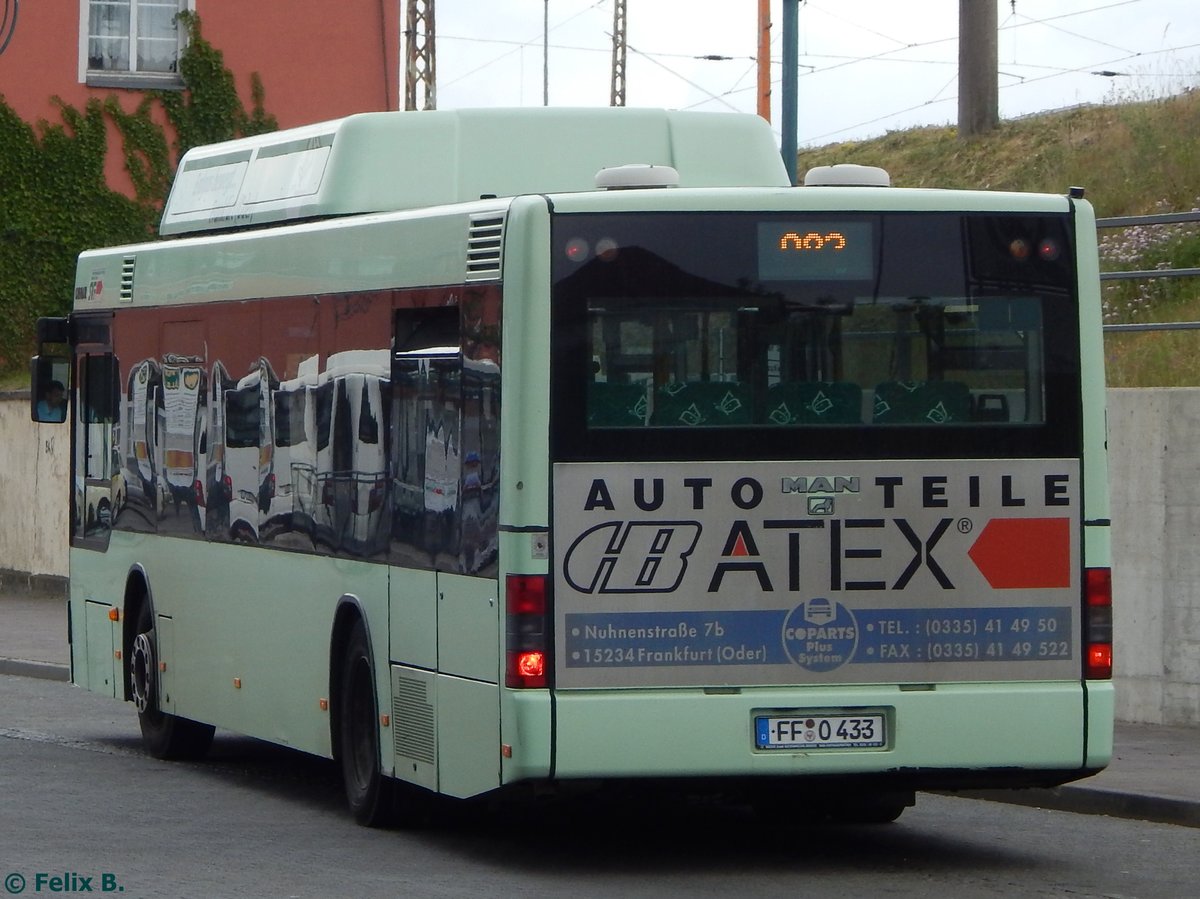 MAN Niederflurbus 2. Generation CNG der Stadtverkehrsgesellschaft mbH Frankfurt Oder in Frankfurt.