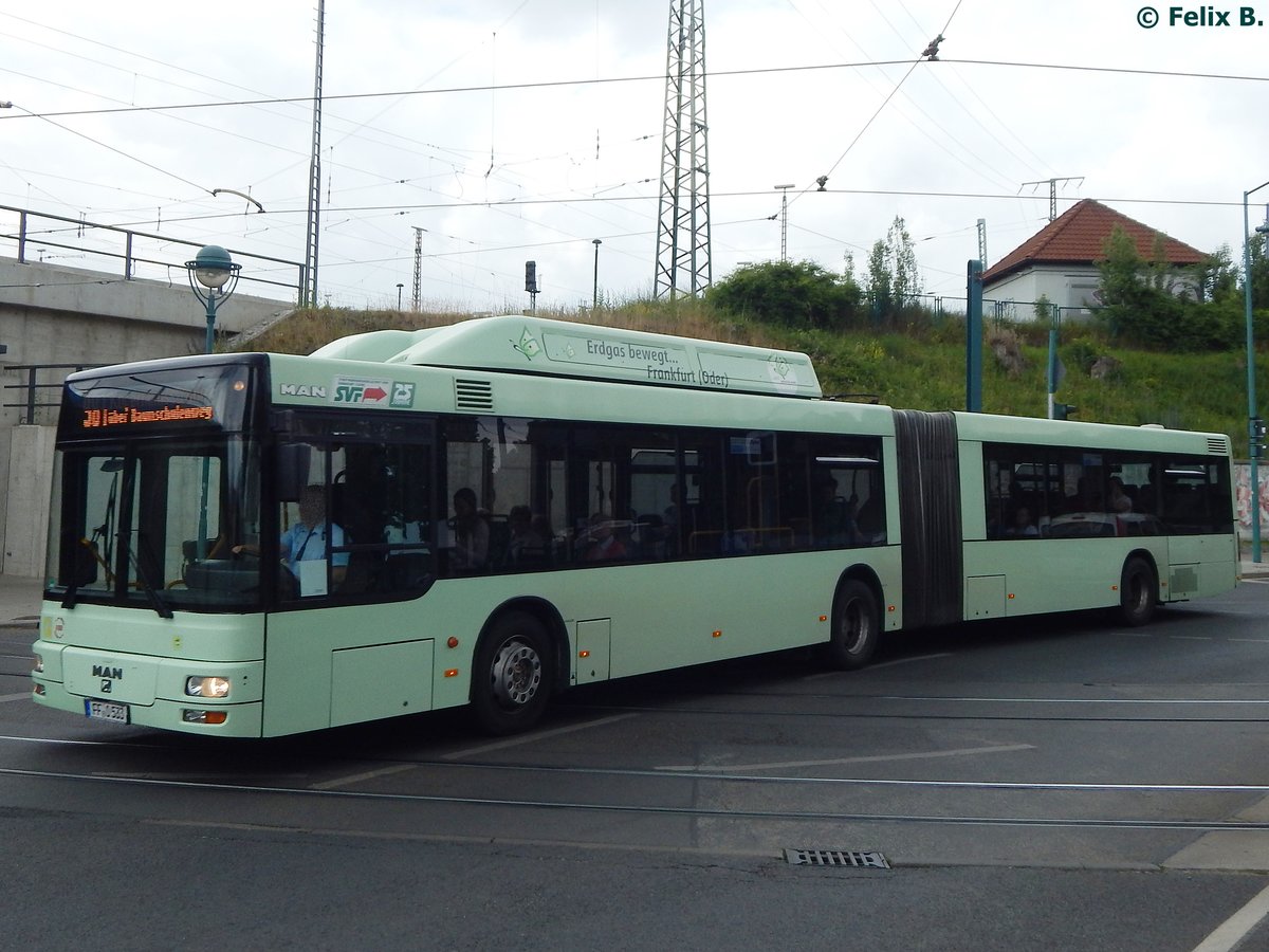 MAN Niederflurbus 2. Generation CNG der Stadtverkehrsgesellschaft mbH Frankfurt Oder in Frankfurt.