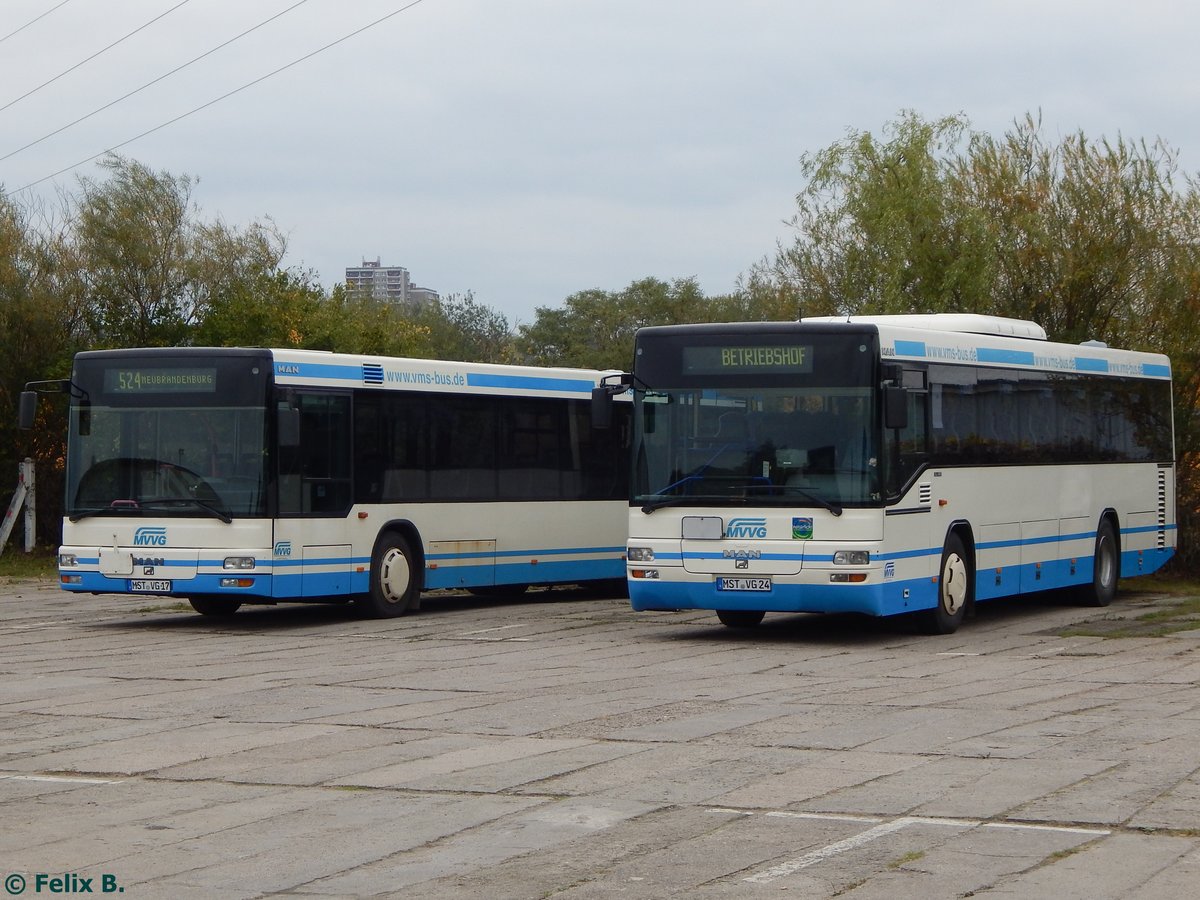 MAN Niederflurbus 2. Generation und MAN SÜ 283 der MVVG in Neubrandenburg.