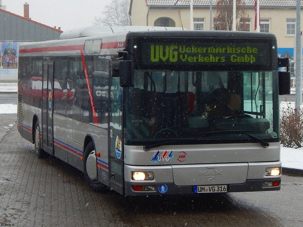 MAN Niederflurbus 2. Generation der Uckermärkische Verkehrs GmbH in Prenzlau.