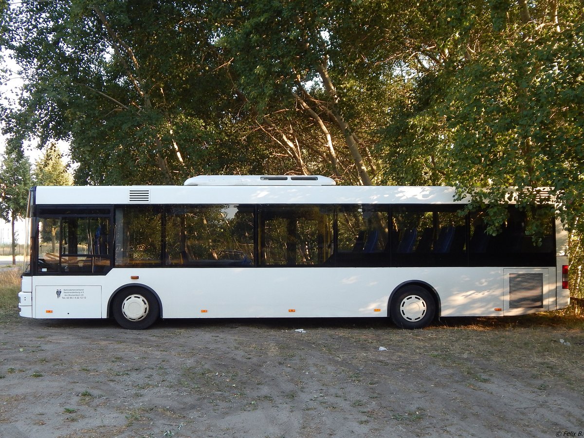 MAN Niederflurbus 2. Generation/Göppel vom Behindertenverband Neubrandenburg in Neubrandenburg.