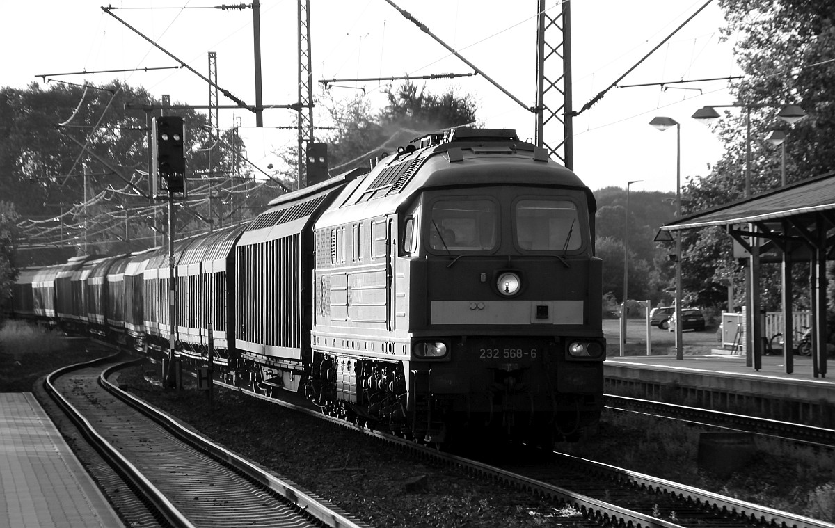 MBU 2014: DB 232 568-6 Schleswig 23.07.2014