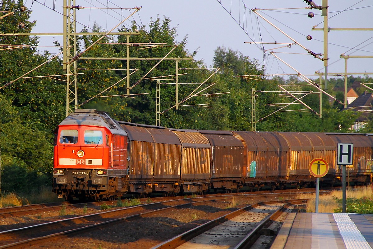 MBU 2014: DB 233 233-6 Schleswig 18.07.2014