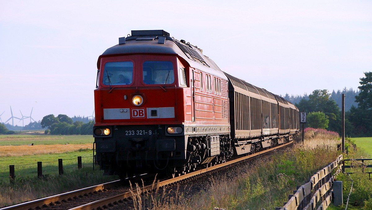 MBU 2014: DB 233 321-9(REV/BCS X/19.11.10) Jübek/Sollbrück 22.07.2014