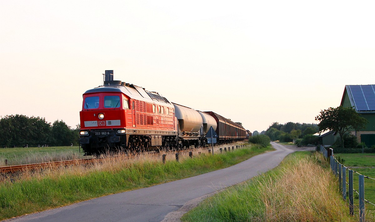 MBU 2014: DB 233 662-6 Jbek/Jyderupweg 29.07.2014