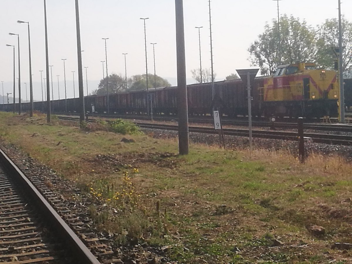 MEG 105 (203 119) kam mit einem Gterzug in Rottleberode eingefahren am 9.10.18