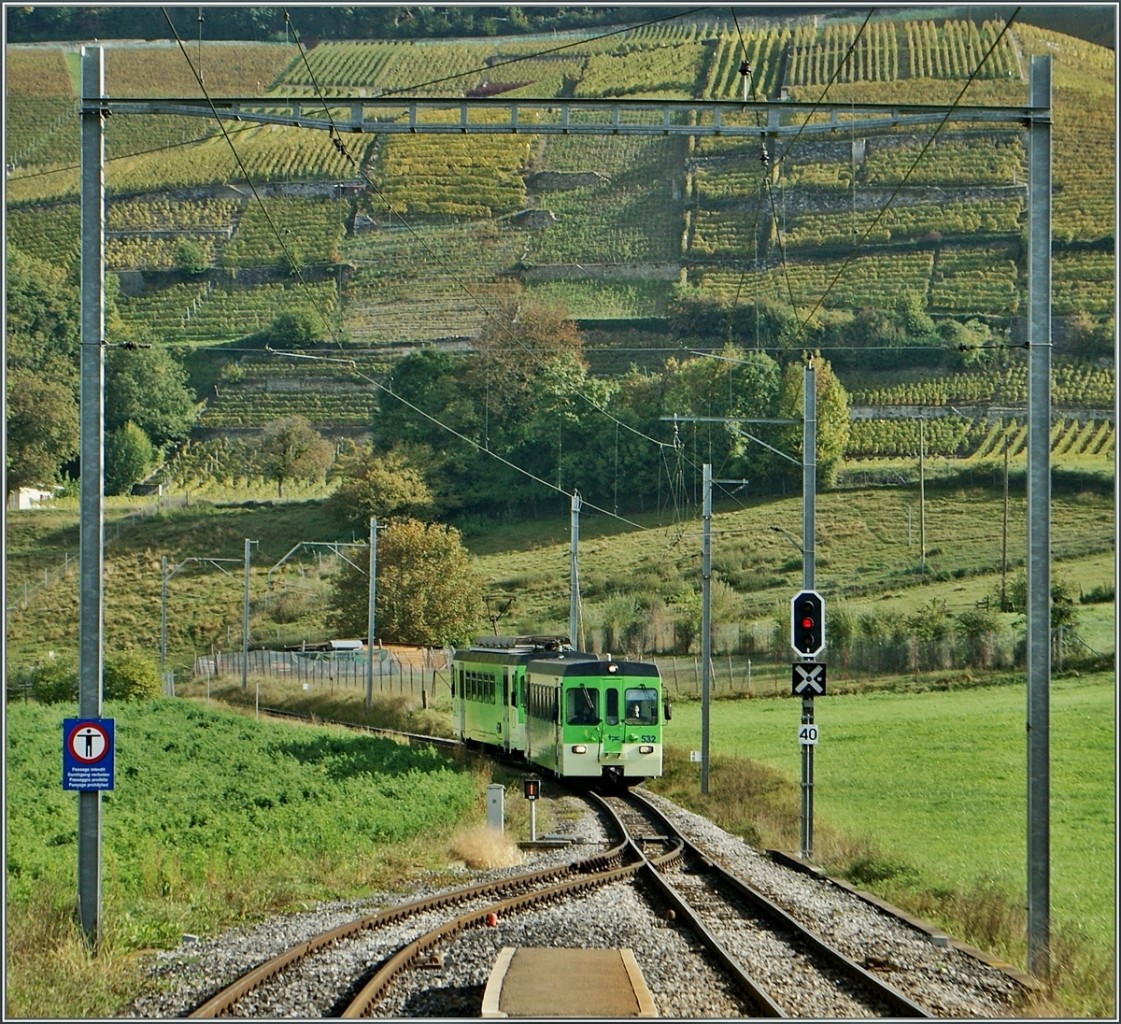  Mein  Zug nach Champry erreicht Villy.
25. Okt. 2013